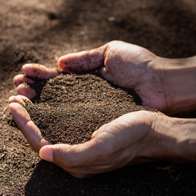 Bando Ager: la grande risposta della comunità scientifica
