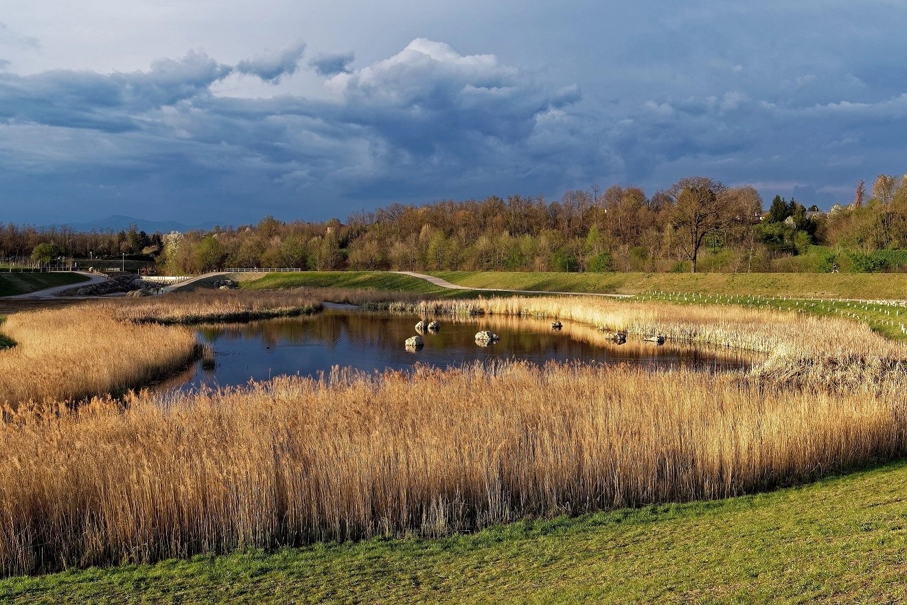 Ripristino della natura e tutela della biodiversità: due iniziative