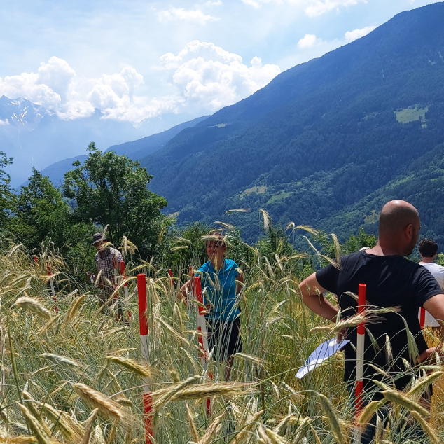 Pubblicata la seconda edizione del Bando Ruralis