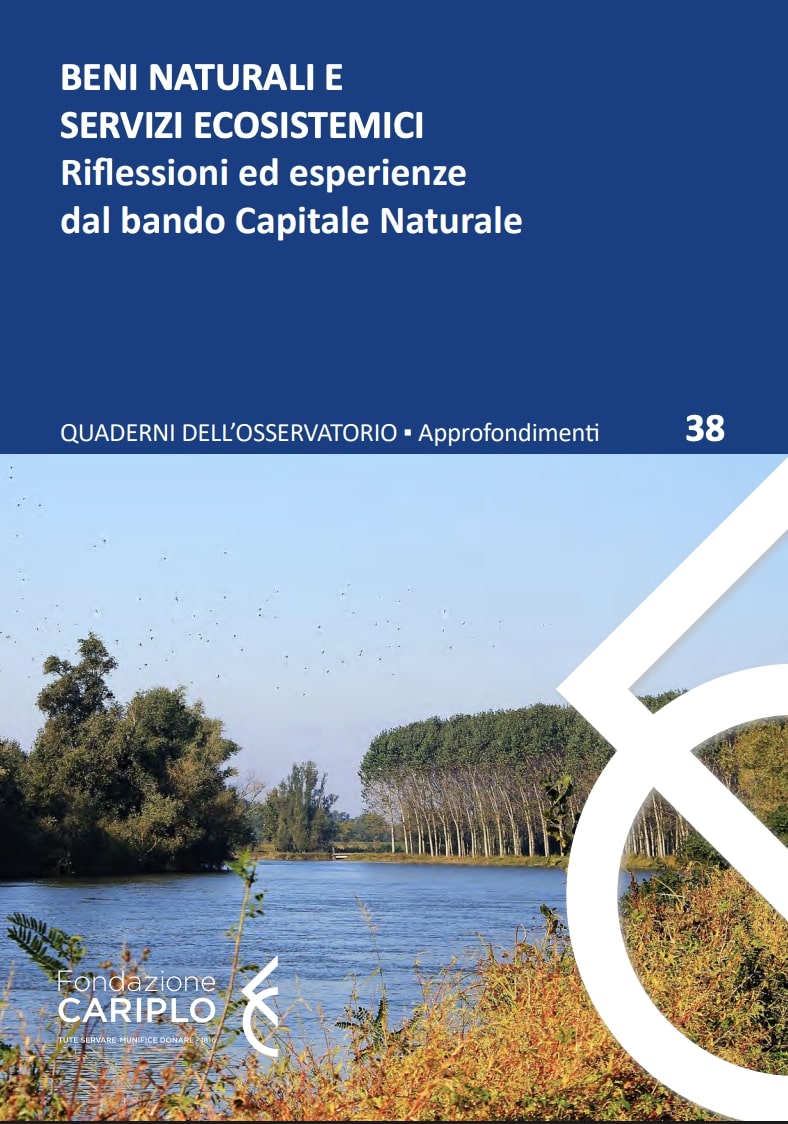BENI NATURALI E SERVIZI ECOSISTEMICI | Riflessioni ed esperienze dal bando Capitale Naturale – Quaderno n.38