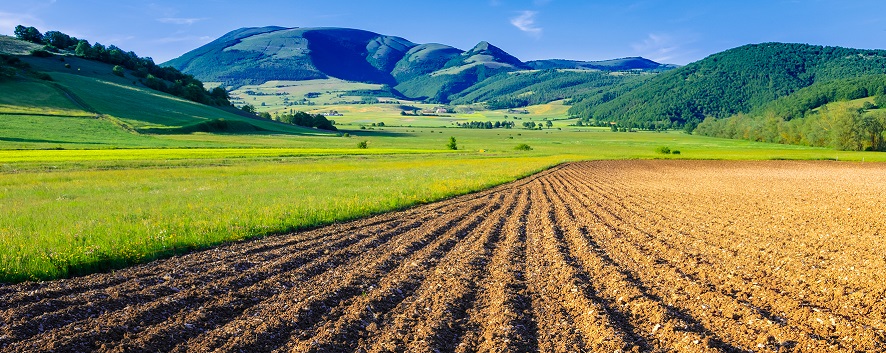 AGER – AGroalimentare E Ricerca 