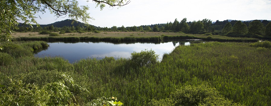 Cofinanziamento progetti europei