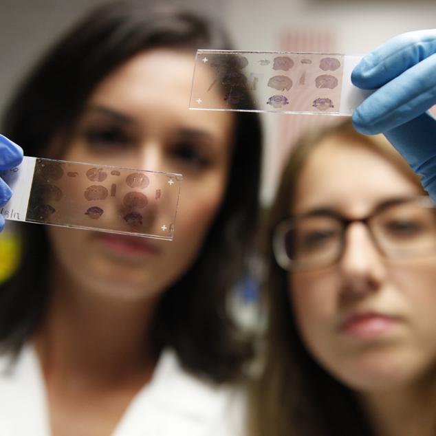 Telethon e Cariplo insieme contro le malattie rare