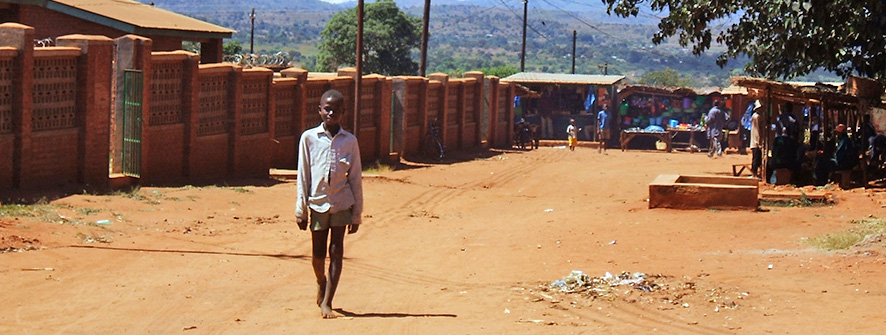 Neglected Tropical Diseases